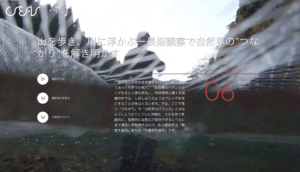 オンライン動画: 山を歩き、川に浮かぶ ー長期観察で自然界の”つながり”を解き明かす(中川光)を公開しました。